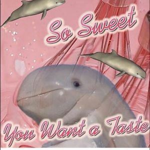 Meet your Posher, Noot